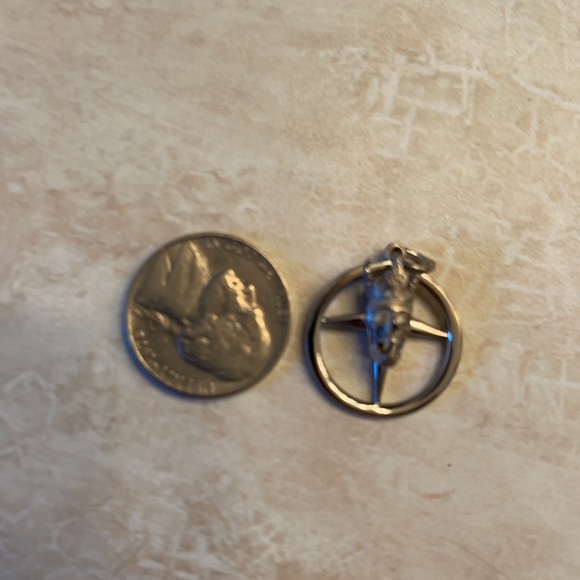 Tiffany&co customized skull pendant - Picture 3 of 3